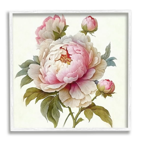 Stupell Industries Detailed Pink Peony Flower Buds Botanical & Floral Painting White Framed Art Print Wall Art