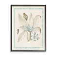 thumbnail image 1 of Stupell Industries Detailed Plant Study Botanicals Graphic Art Black Framed Art Print Wall Art, Design by Vision Studio, 1 of 8