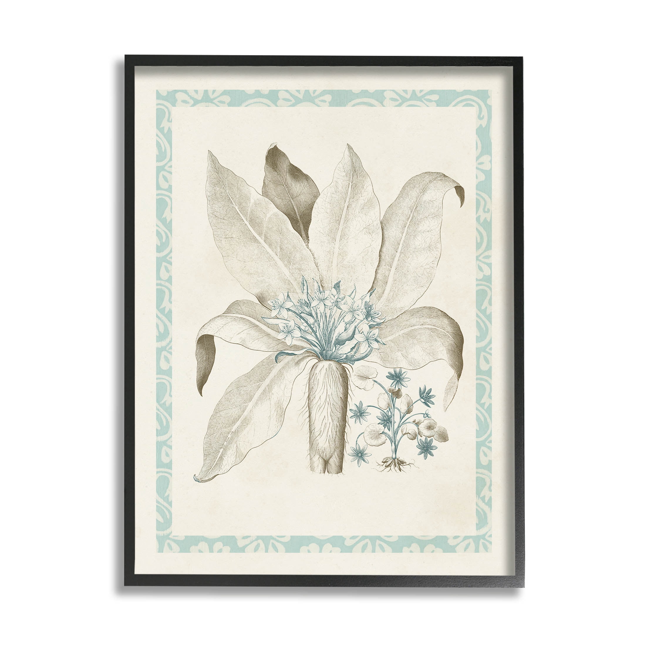 Stupell Industries Detailed Plant Study Botanicals Graphic Art Black Framed Art Print Wall Art, Design by Vision Studio