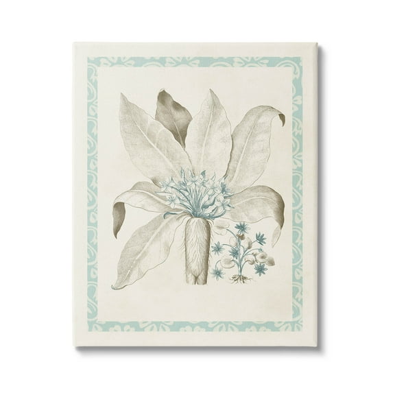 Stupell Industries Detailed Plant Study Botanicals Graphic Art Gallery Wrapped Canvas Print Wall Art, Design by Vision Studio