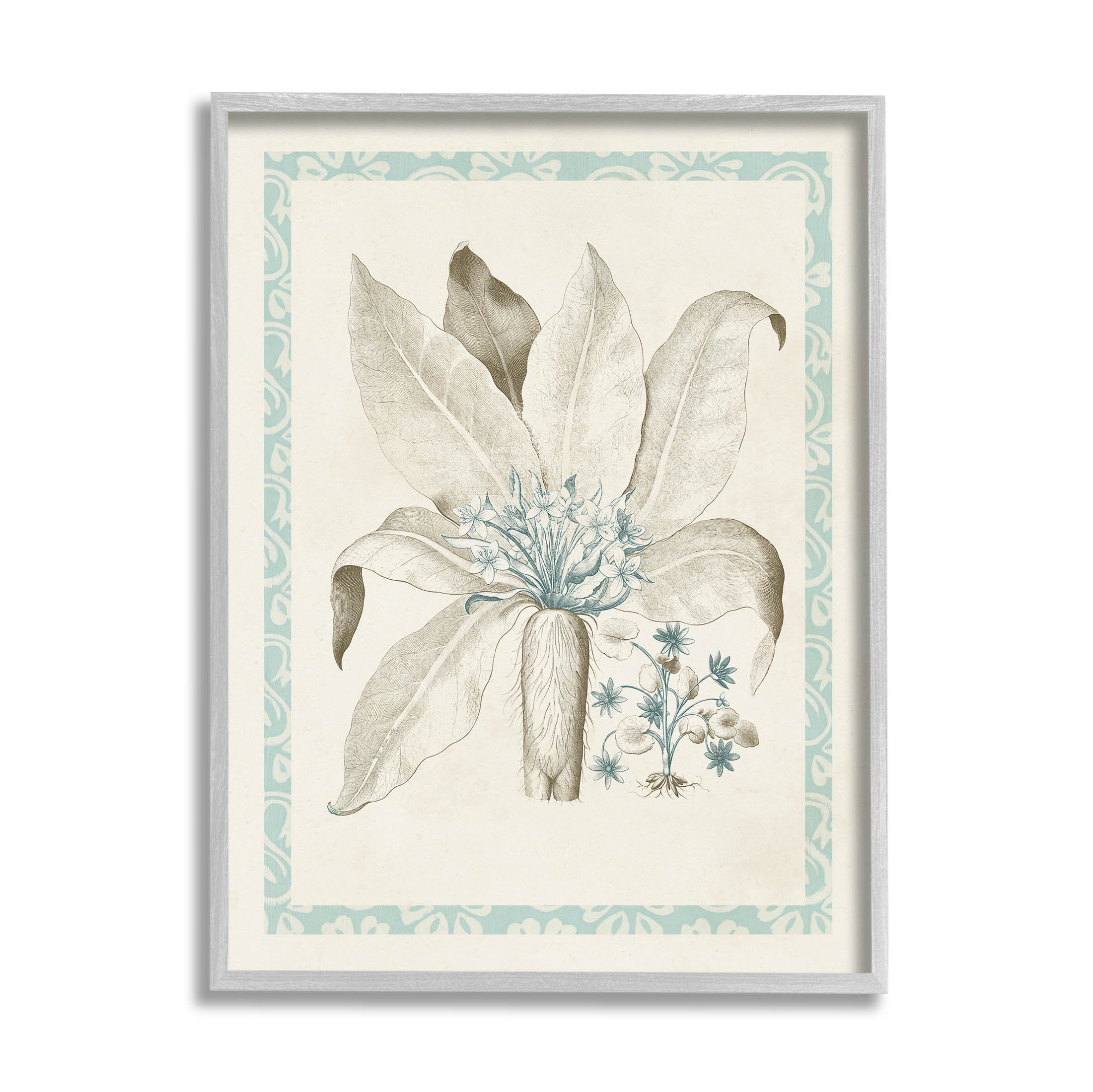 Stupell Industries Detailed Plant Study Botanicals Graphic Art Gray Framed Art Print Wall Art, Design by Vision Studio