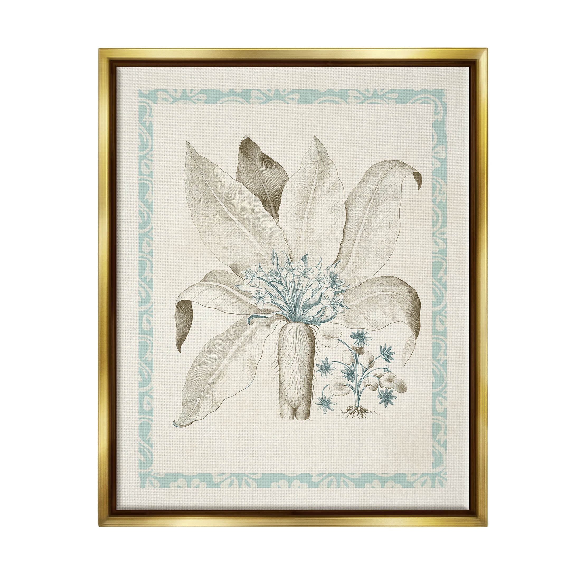 Stupell Industries Detailed Plant Study Botanicals Graphic Art Metallic Gold Floating Framed Canvas Print Wall Art, Design by Vision Studio