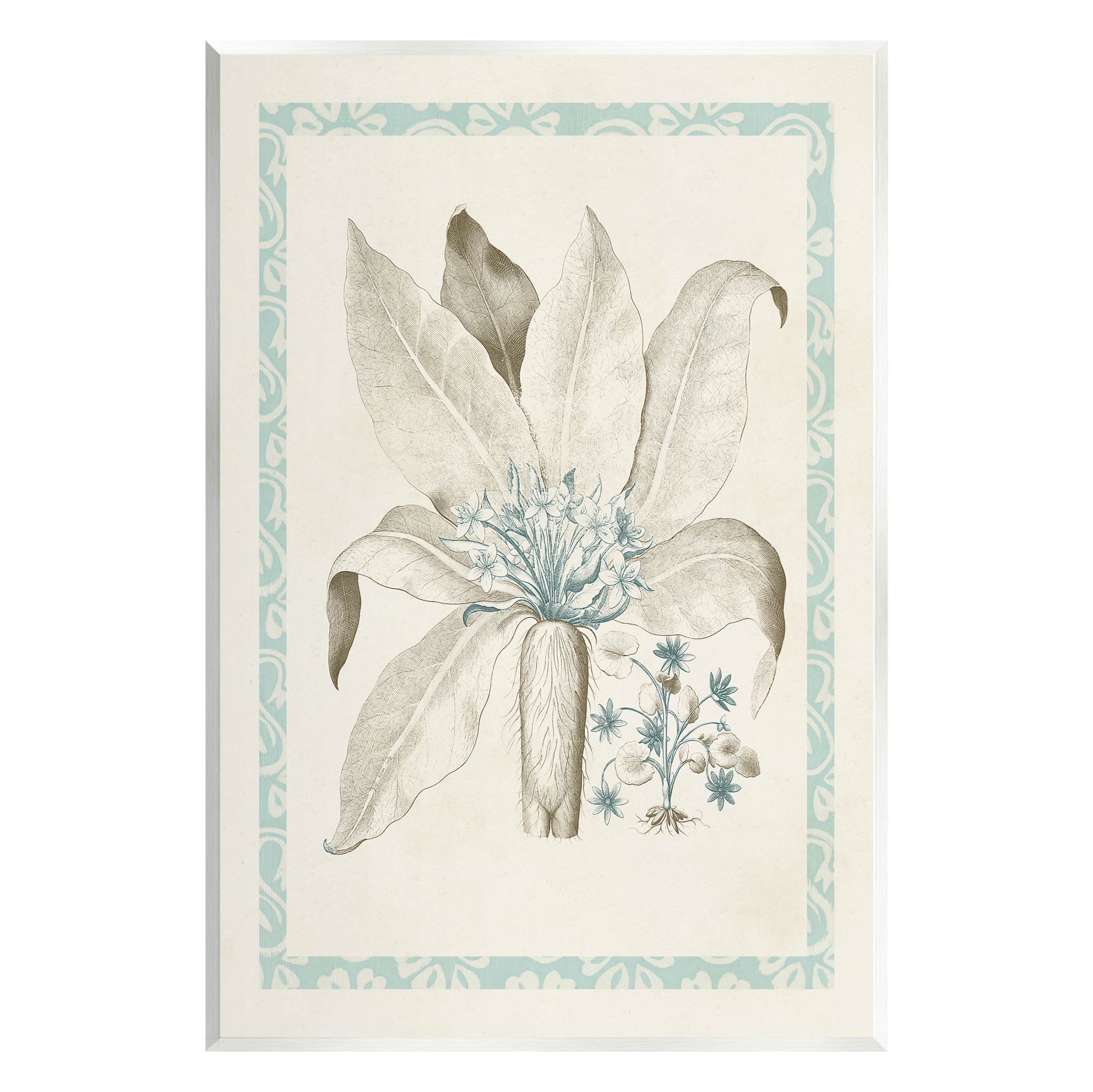 Stupell Industries Detailed Plant Study Botanicals Graphic Art Unframed Art Print Wall Art, Design by Vision Studio