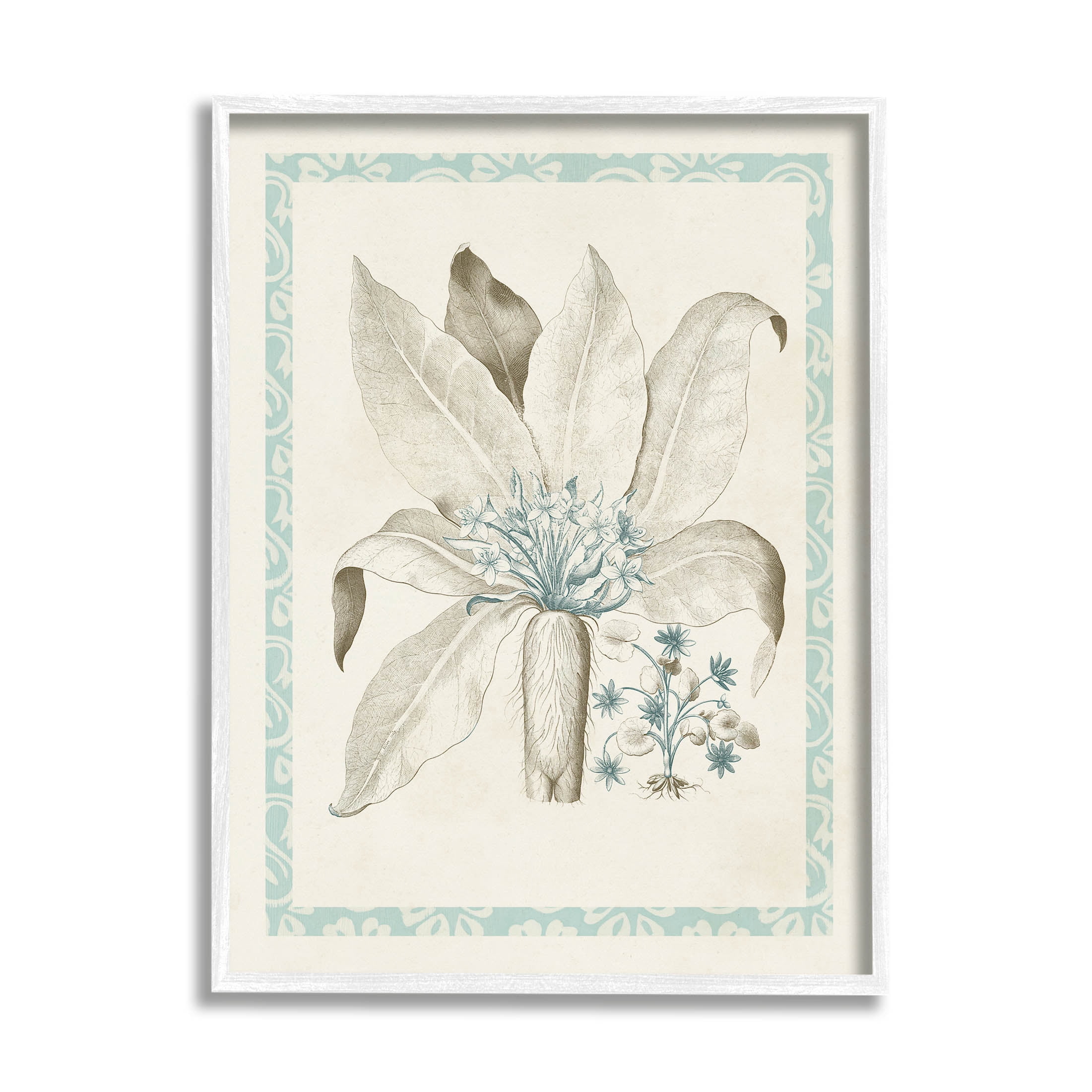 Stupell Industries Detailed Plant Study Botanicals Graphic Art White Framed Art Print Wall Art, Design by Vision Studio