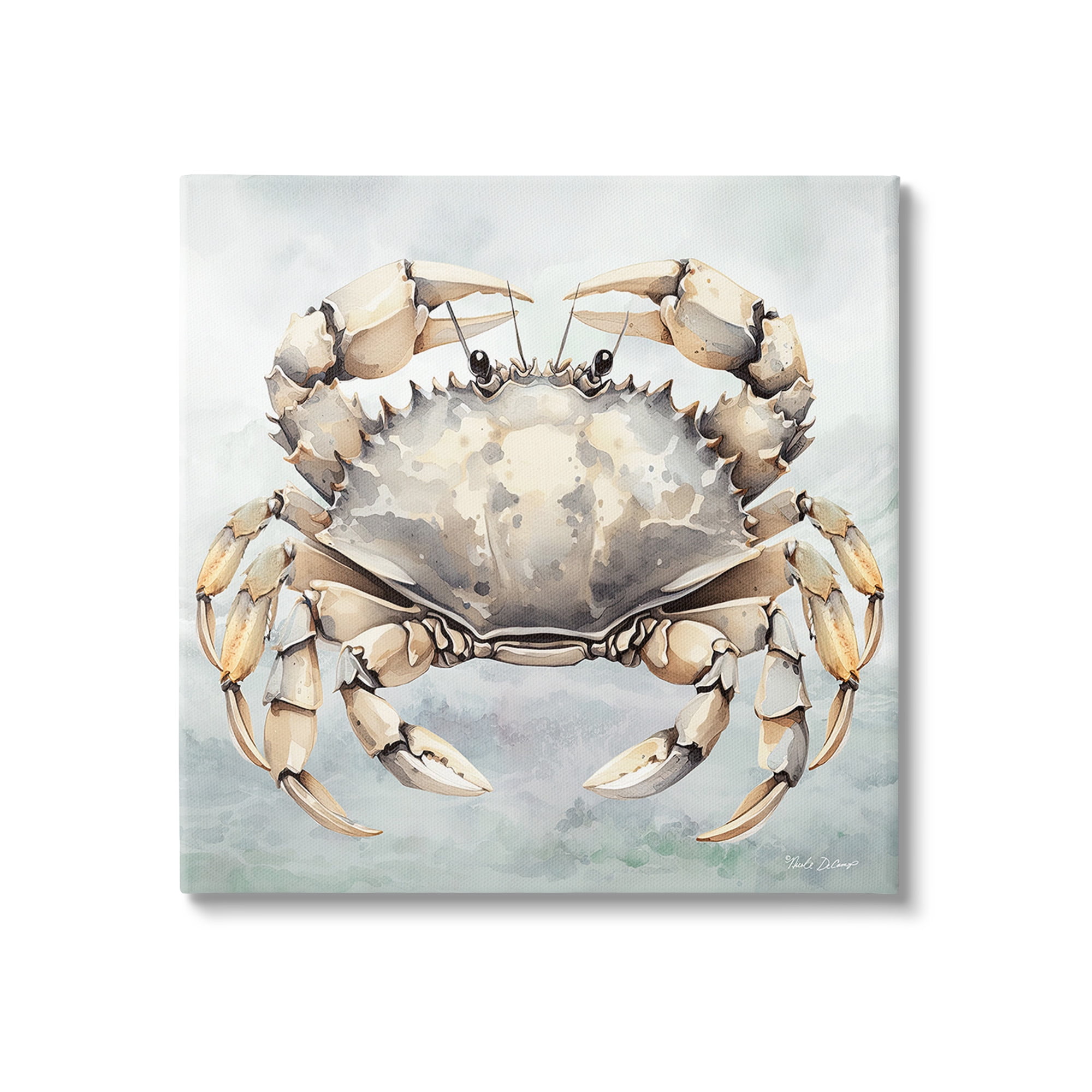 Stupell Industries Detailed Sea Crab Animals & Insects Painting Gallery Wrapped Canvas Art Print Wall Art, 36 x 36