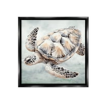 Stupell Industries Detailed Sea Turtle Animals & Insects Painting Black Floater Framed Canvas Art Print Wall Art, 18 x 18