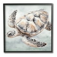 thumbnail image 1 of Stupell Industries Detailed Sea Turtle Animals & Insects Painting Black Framed Art Print Wall Art, 17 x 17, 1 of 9