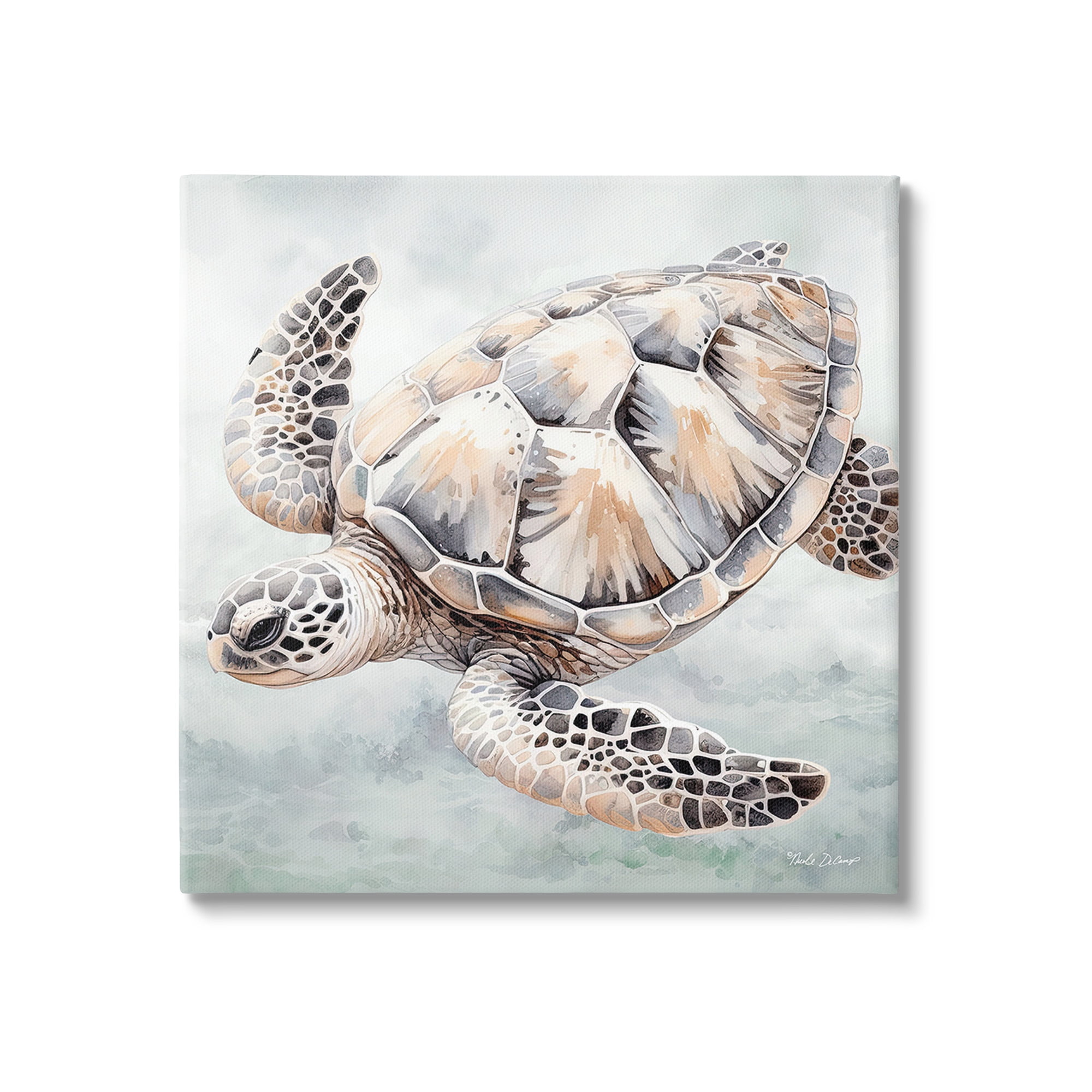 Stupell Industries Detailed Sea Turtle Animals & Insects Painting ...