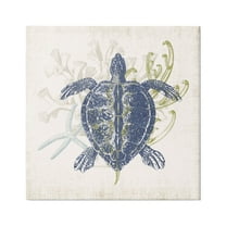 Stupell Industries Detailed Sea Turtle Layered Coral Aquatic Life Graphic Art Gallery Wrapped Canvas Print Wall Art, Design by Victoria Barnes