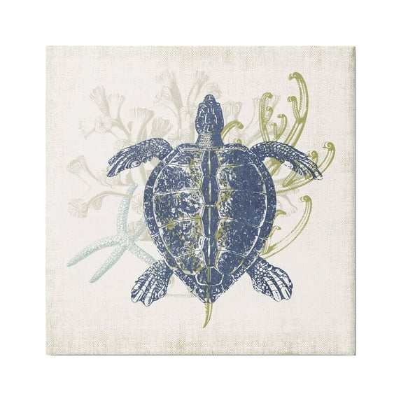 Stupell Industries Detailed Sea Turtle Layered Coral Aquatic Life Graphic Art Gallery Wrapped Canvas Print Wall Art, Design by Victoria Barnes