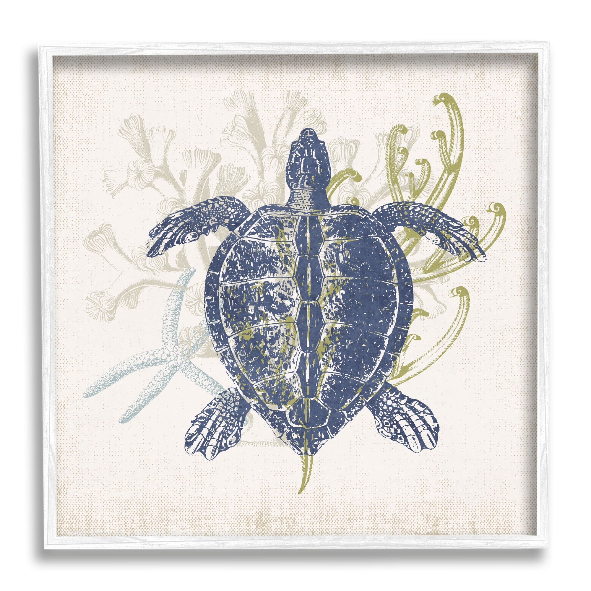 Stupell Industries Detailed Sea Turtle Layered Coral Aquatic Life Graphic Art White Framed Art Print Wall Art, Design by Victoria Barnes