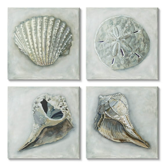 Stupell Industries Detailed Seashells Ocean Life Painting Gallery Wrapped Canvas Print Wall Art, Set of 4, Design by Erica Christopher