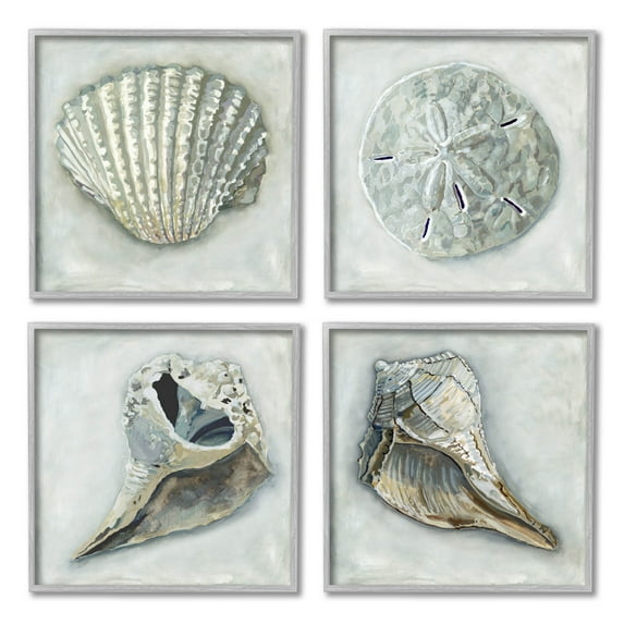 Stupell Industries Detailed Seashells Ocean Life Painting Gray Framed Art Print Wall Art, Set of 4, Design by Erica Christopher