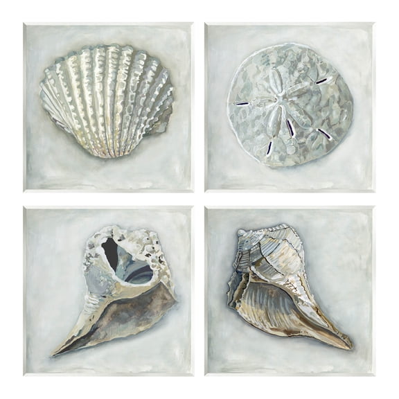 Stupell Industries Detailed Seashells Ocean Life Painting Unframed Art Print Wall Art, Set of 4, Design by Erica Christopher