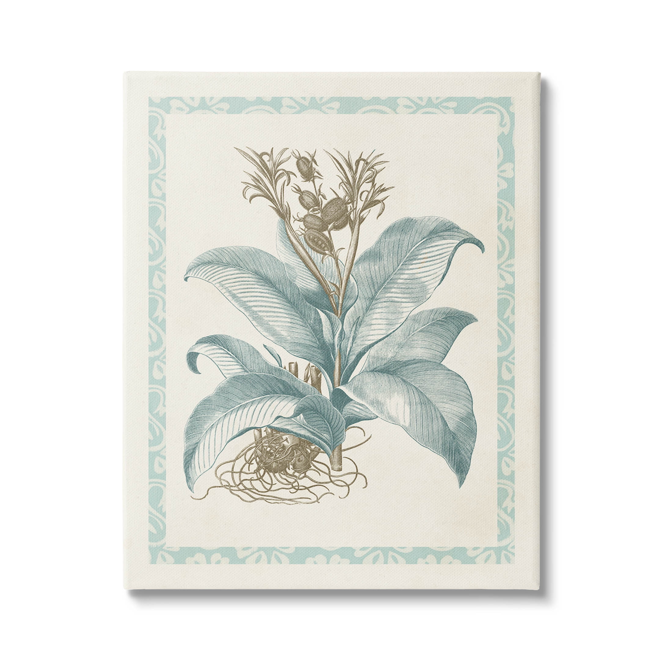 Stupell Industries Detailed Wild Herb Flower Graphic Art Gallery Wrapped Canvas Print Wall Art, Design by Vision Studio