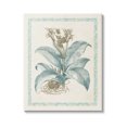 thumbnail image 1 of Stupell Industries Detailed Wild Herb Flower Graphic Art Gallery Wrapped Canvas Print Wall Art, Design by Vision Studio, 1 of 3
