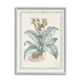 thumbnail image 1 of Stupell Industries Detailed Wild Herb Flower Graphic Art Gray Framed Art Print Wall Art, Design by Vision Studio, 1 of 7