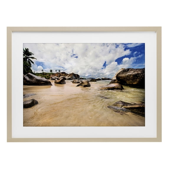 Stupell Industries Devil's Bay Beach Birch Framed Print Under Glass, design by Seven Trees Design