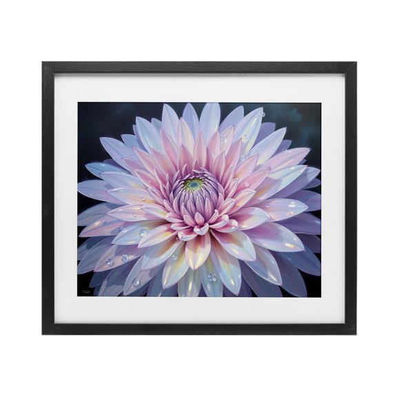 Stupell Industries Dew Kissed Pink Chrysanthemum Black Framed Print Under Glass design by Tabz Jones, 13 x 16