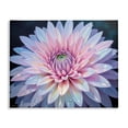 thumbnail image 1 of Stupell Industries Dew Kissed Pink Chrysanthemum Canvas Wall Art design by Tabz Jones, 24 x 30, 1 of 7