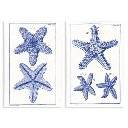 Stupell Industries Diagram of a Starfish Nautical & Beach Painting Unframed Art Print Wall Art, 10 x 15, Set of 2