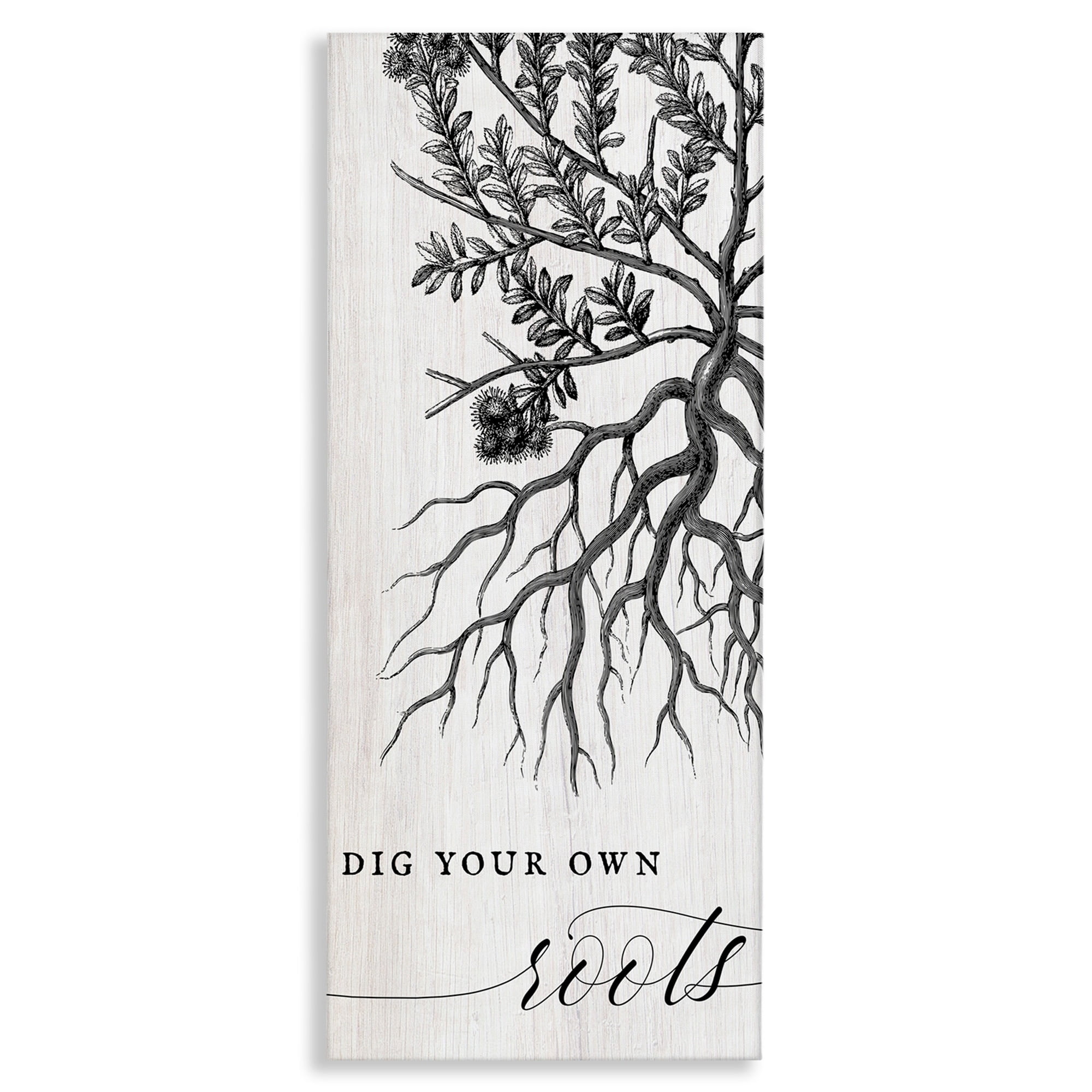 Stupell Industries Dig Your Own Roots Empowering Botanical Quote Canvas Wall Art, 17 x 40, Design by Daphne Polselli