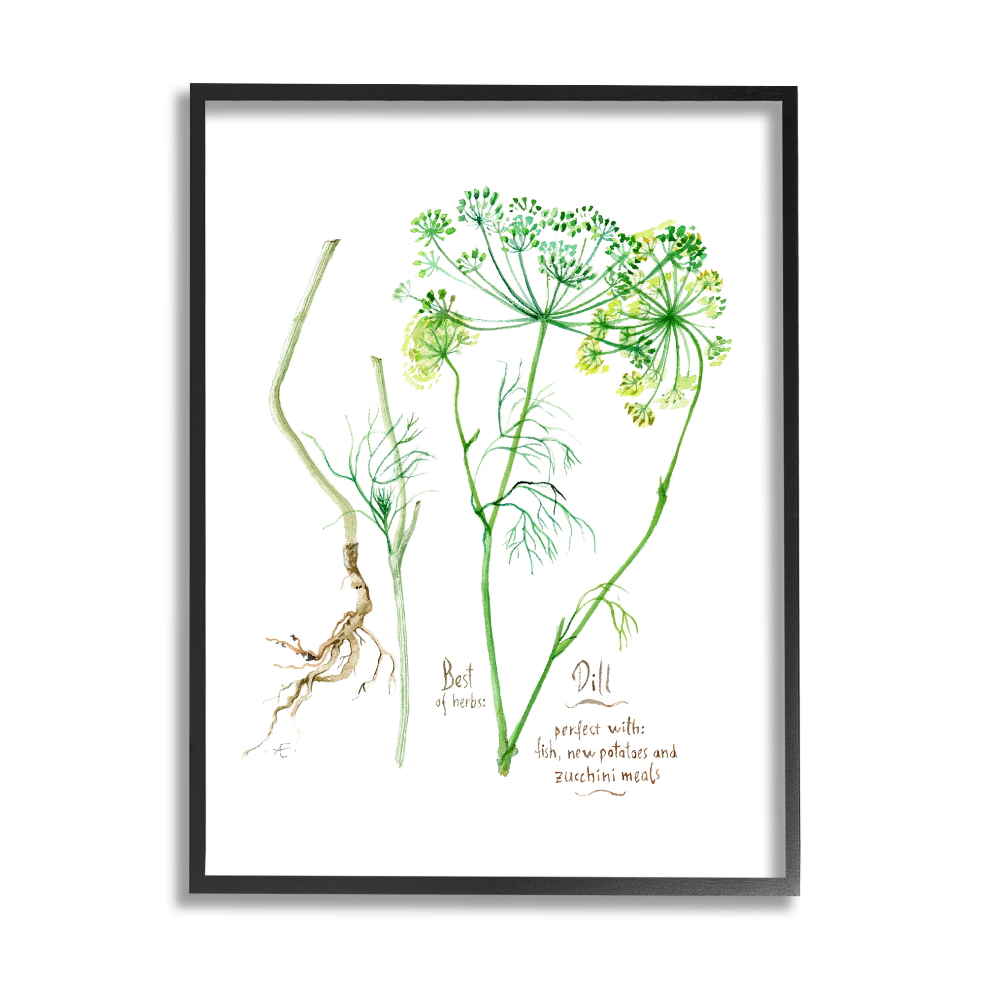Stupell Industries Dill Greens Best of Herbs Watercolor Garden Plants Food & Beverage Painting Black Framed Art Print Wall Art, 11 x 14