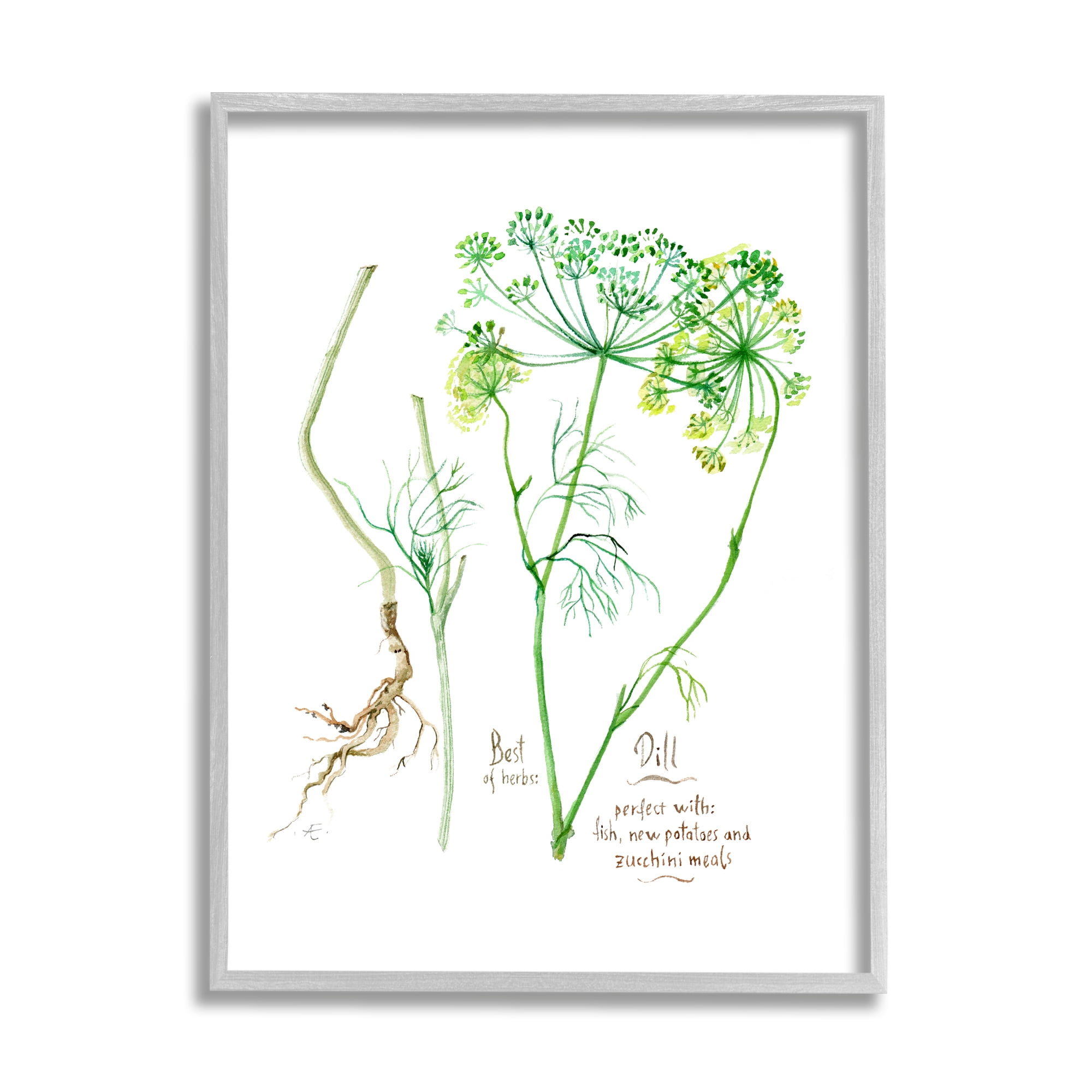 Stupell Industries Dill Greens Best of Herbs Watercolor Garden Plants Food & Beverage Painting Gray Framed Art Print Wall Art, 16 x 20