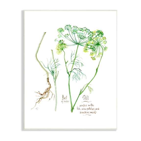 Stupell Industries Dill Greens Best of Herbs Watercolor Garden Plants Food & Beverage Painting Unframed Art Print Wall Art, 13 x 19