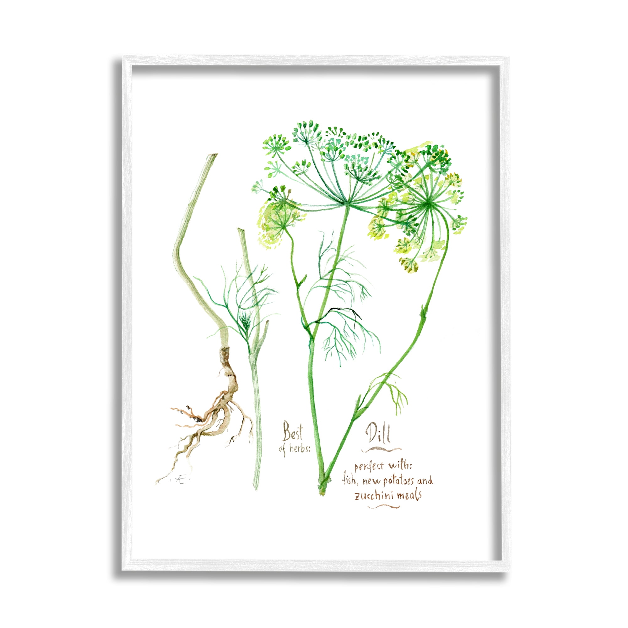 White Framed Dill Greens Watercolor Canvas Print, 11 x 14