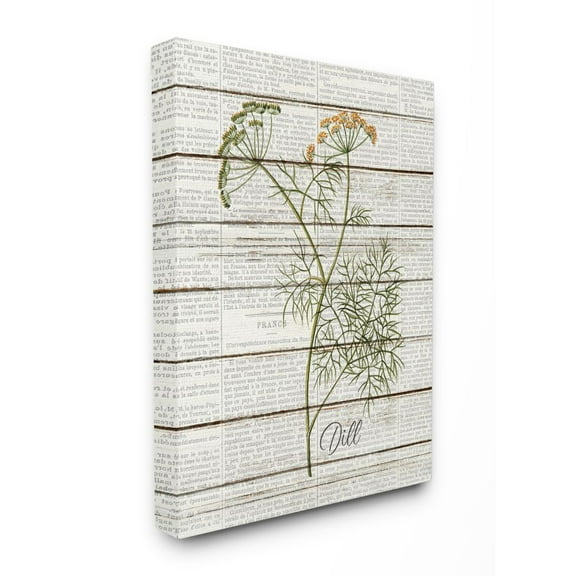 Stupell Industries Dill Vintage Herb Kitchen Dining Room Word Collage Design Canvas Wall Art by Kimberly Allen