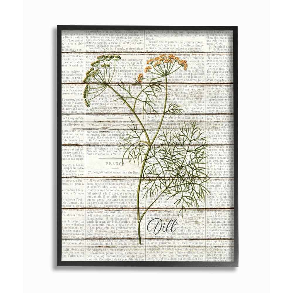 Stupell Industries Dill Vintage Herb Kitchen Dining Room Word Collage Design Framed Giclee Texturized Art by Kimberly Allen