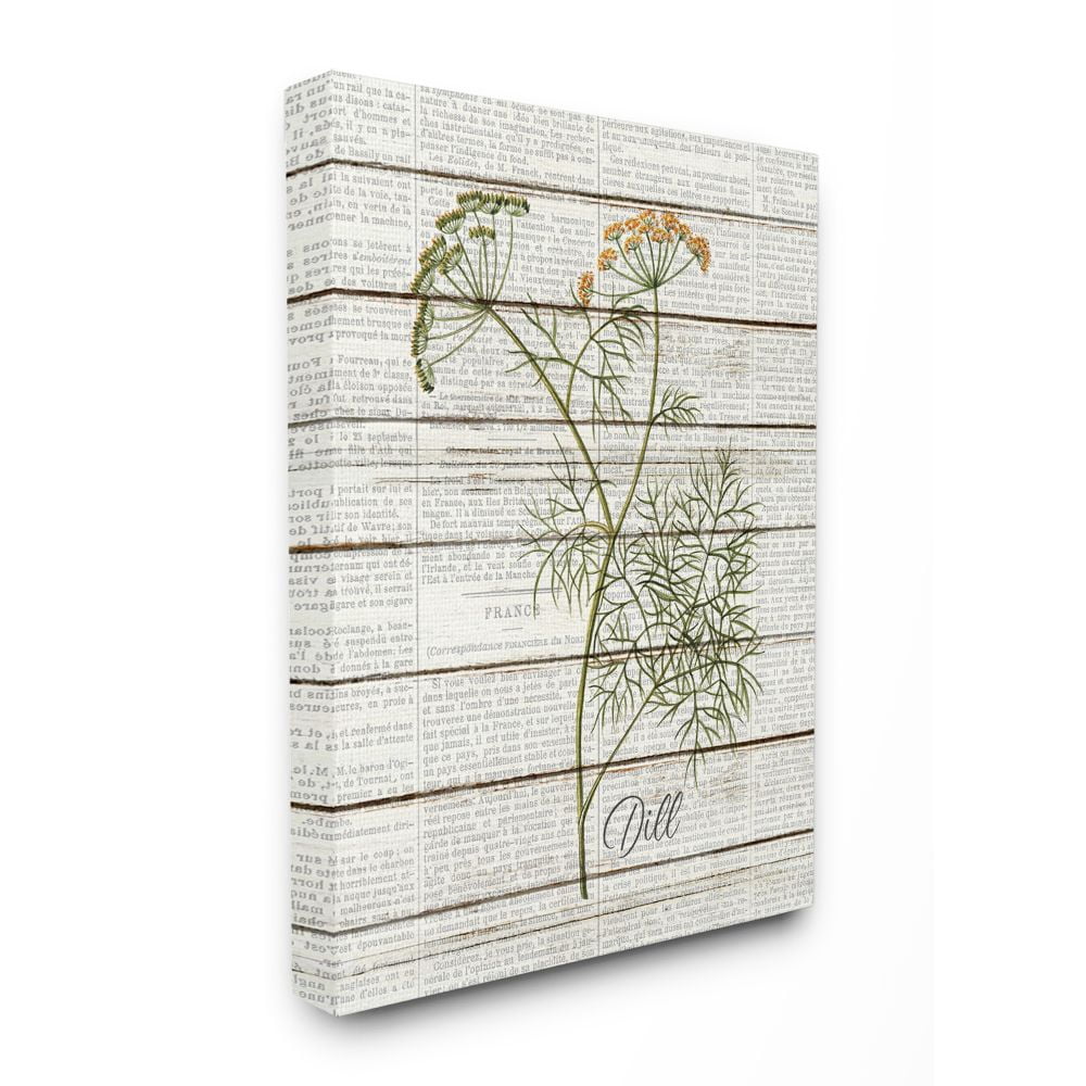 Stupell Industries Dill Vintage Herb Kitchen Dining Room Word Collage Design Super Canvas Wall Art by Kimberly Allen