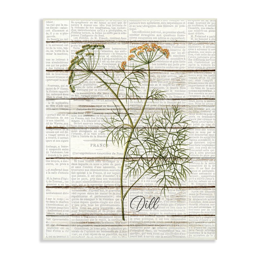 Stupell Industries Dill Vintage Herb Kitchen Dining Room Word Collage Design Wall Plaque Art by Kimberly Allen