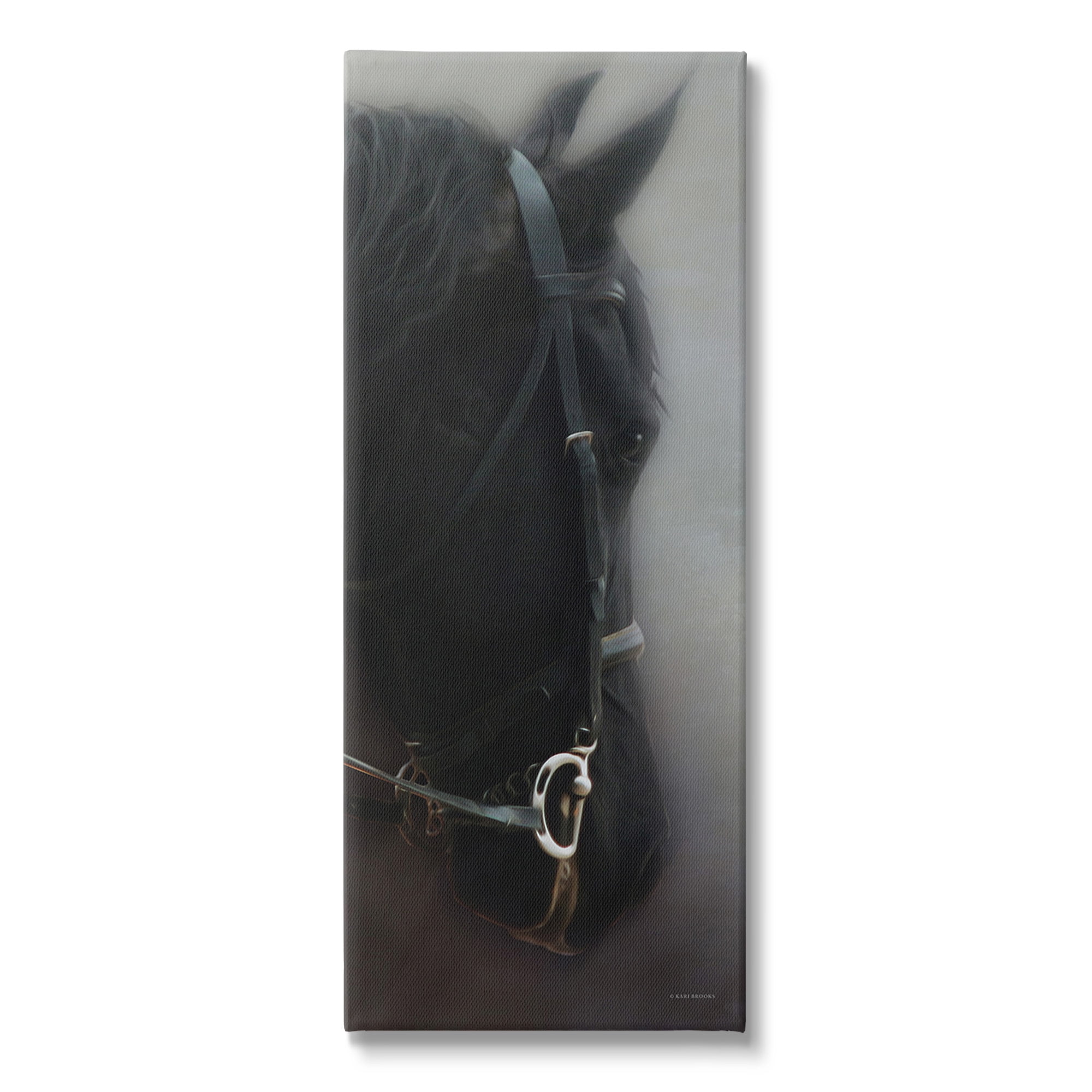 Stupell Industries Dim Black Horse Portrait Animals & Insects Painting Gallery Wrapped Canvas Art Print Wall Art, 13 x 30