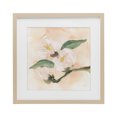 thumbnail image 1 of Stupell Industries Shabby Chic Dimensional Magnolia Blooms Birch Framed Print Under Glass, 13 x 13, by Chris Paschke, 1 of 7