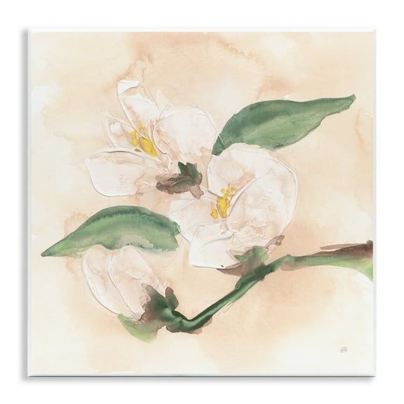 Stupell Industries Dimensional Magnolia Blooms Wall Plaque Art design by Chris Paschke, 12 x 12