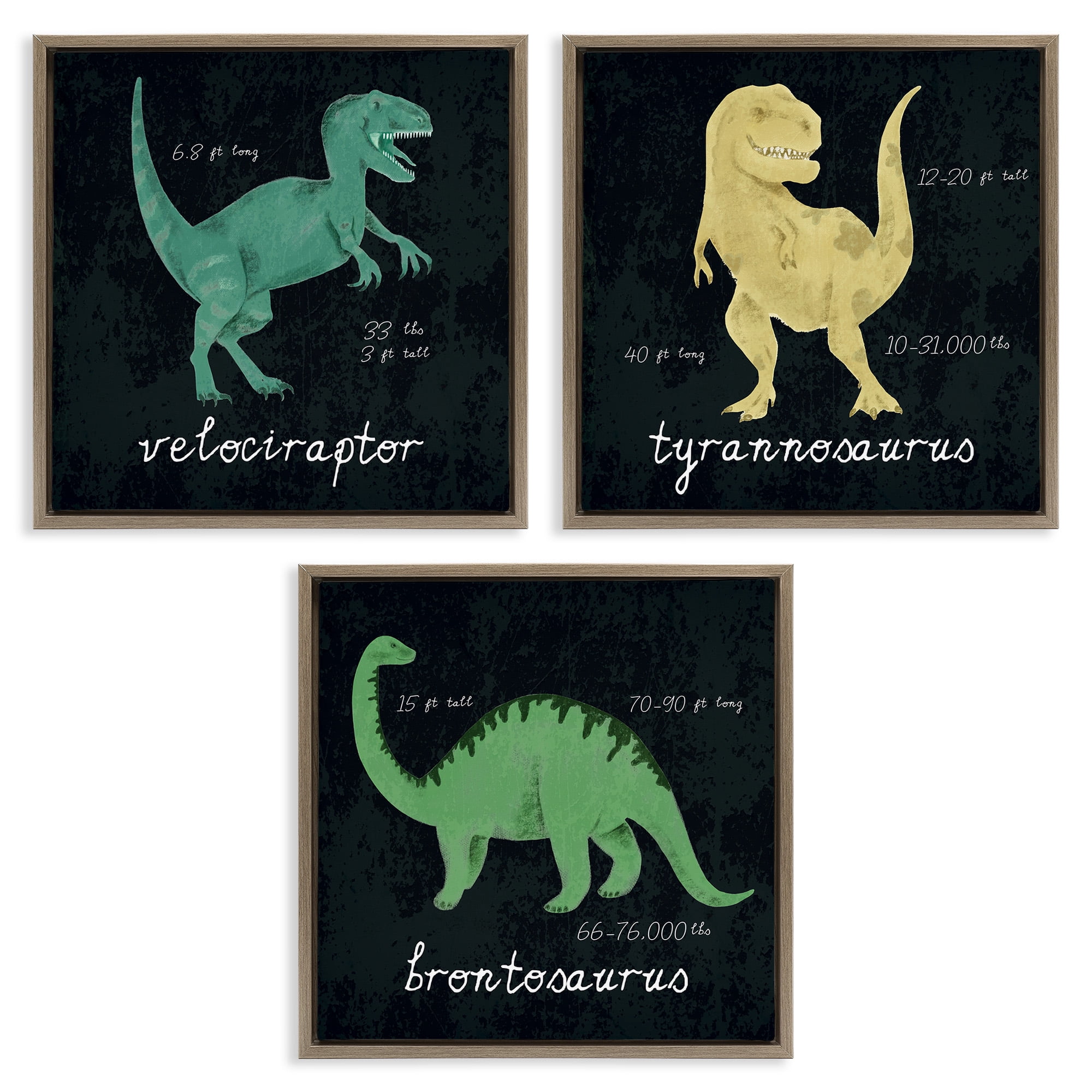 Stupell Industries Dinosaur Facts Chalk Inspired Design Animals & Insects Painting Brown Floater Framed Canvas Art Print Wall Art, 18 x 18, Set of 3