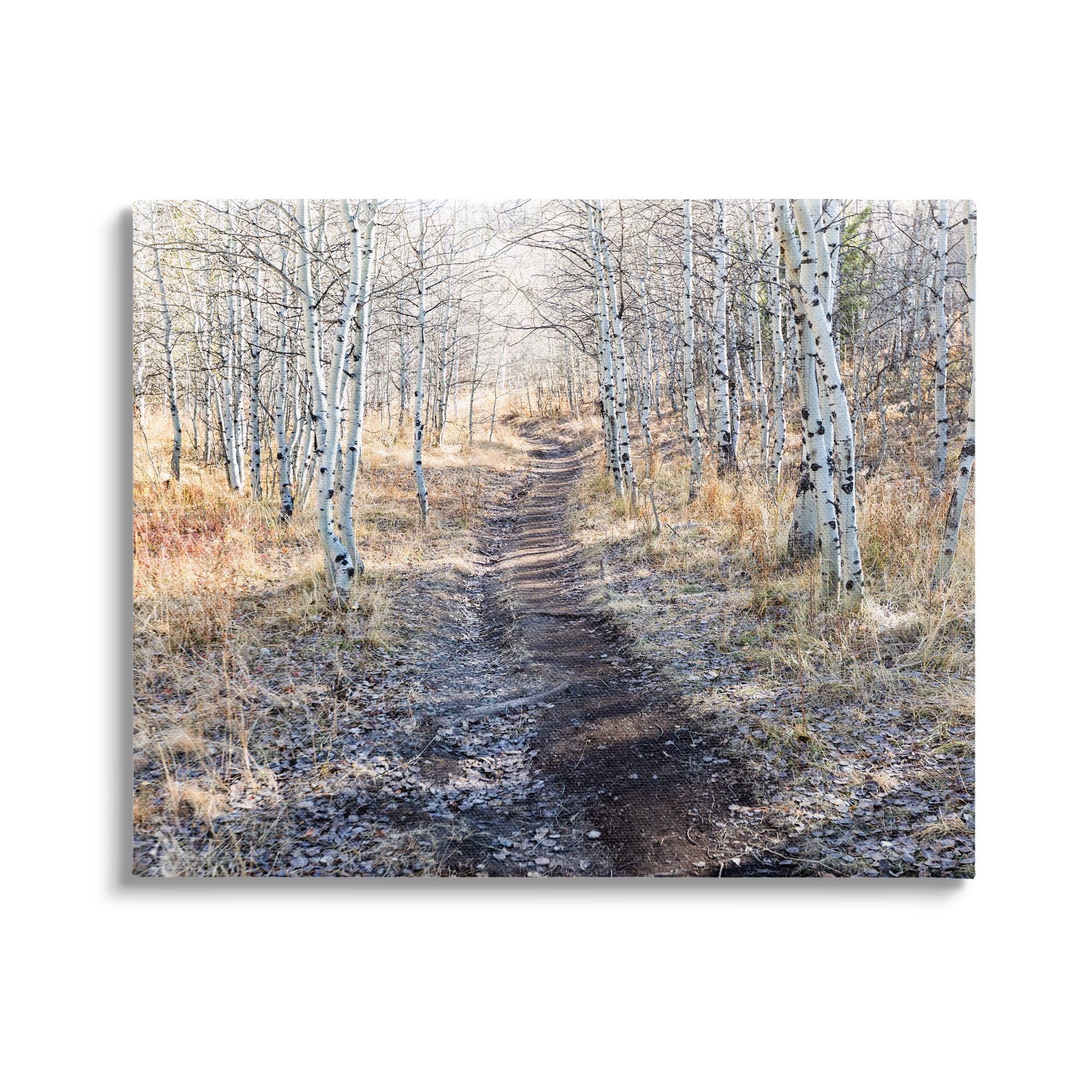Stupell Industries Dirt Path Between Birch Tree Forest Woodland Scene Photograph Gallery Wrapped Canvas Print Wall Art, Design by Steve Smith