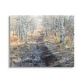 thumbnail image 1 of Stupell Industries Dirt Path Between Birch Tree Forest Woodland Scene Photograph Gallery Wrapped Canvas Print Wall Art, Design by Steve Smith, 1 of 7