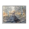 thumbnail image 1 of Stupell Industries Dirt Path Between Birch Tree Forest Woodland Scene Photograph Gray Framed Art Print Wall Art, Design by Steve Smith, 1 of 5
