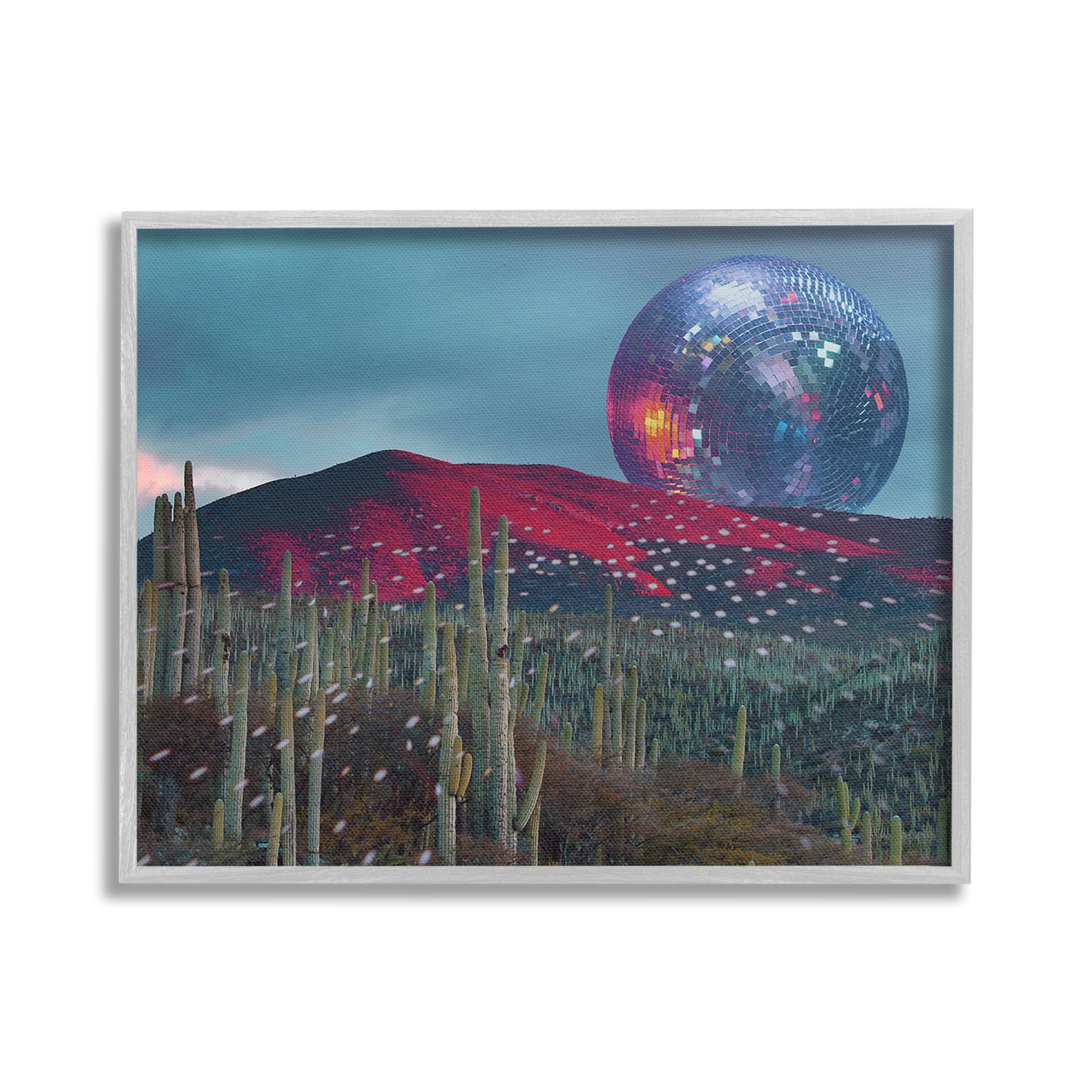Stupell Industries Disco Ball in Desert Landscape Painting Gray Framed Art Print Wall Art, 20 x 16