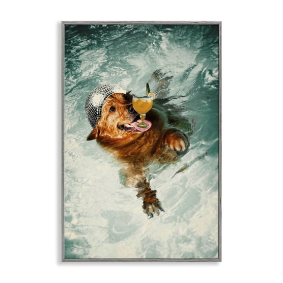 Stupell Industries Disco Dog in Pool Novelty & Humor Painting Gray Framed Art Print Wall Art, 12 x 18
