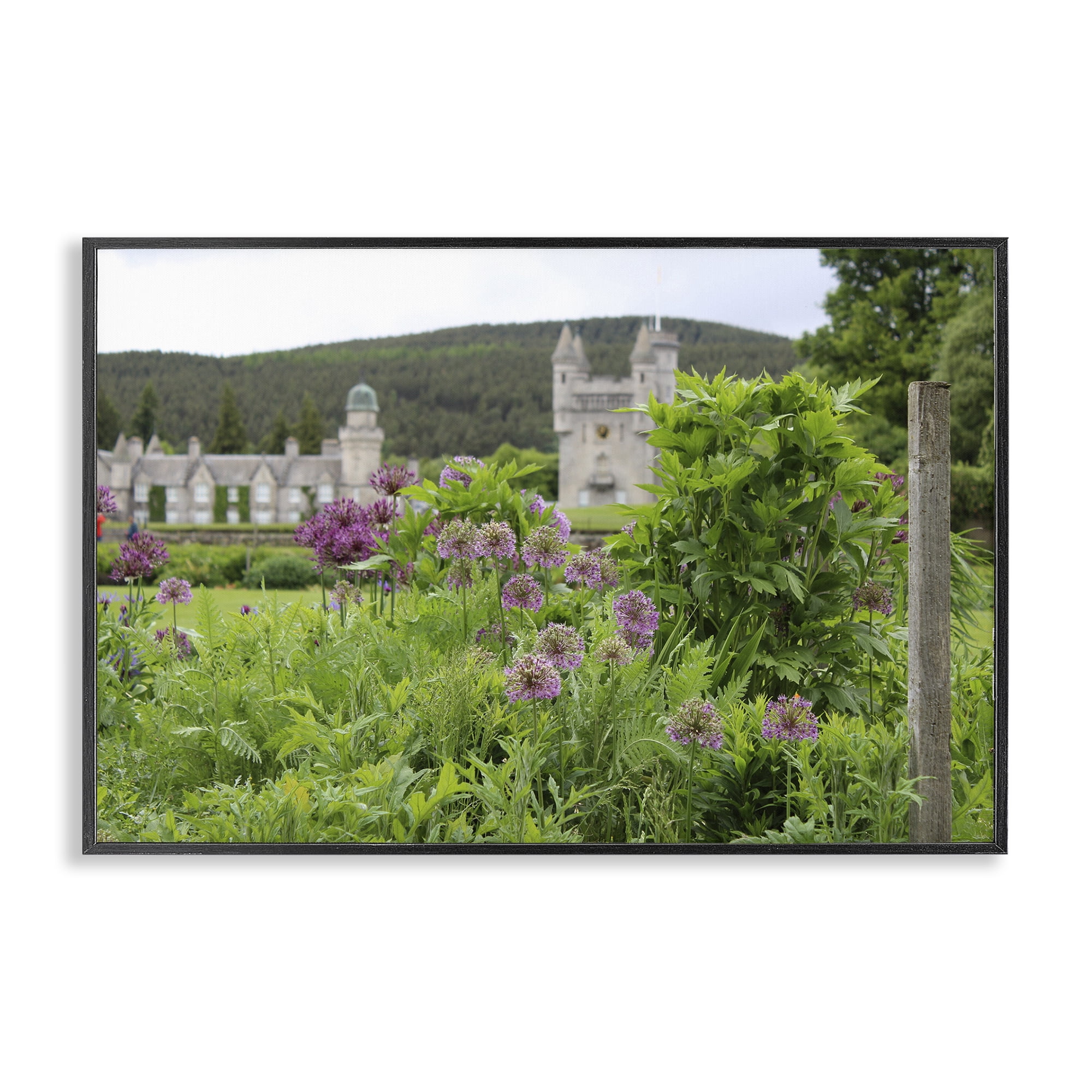 Stupell Industries Distant Castle View Landscape & Nature Photography Black Framed Art Print Wall Art, 18 x 12