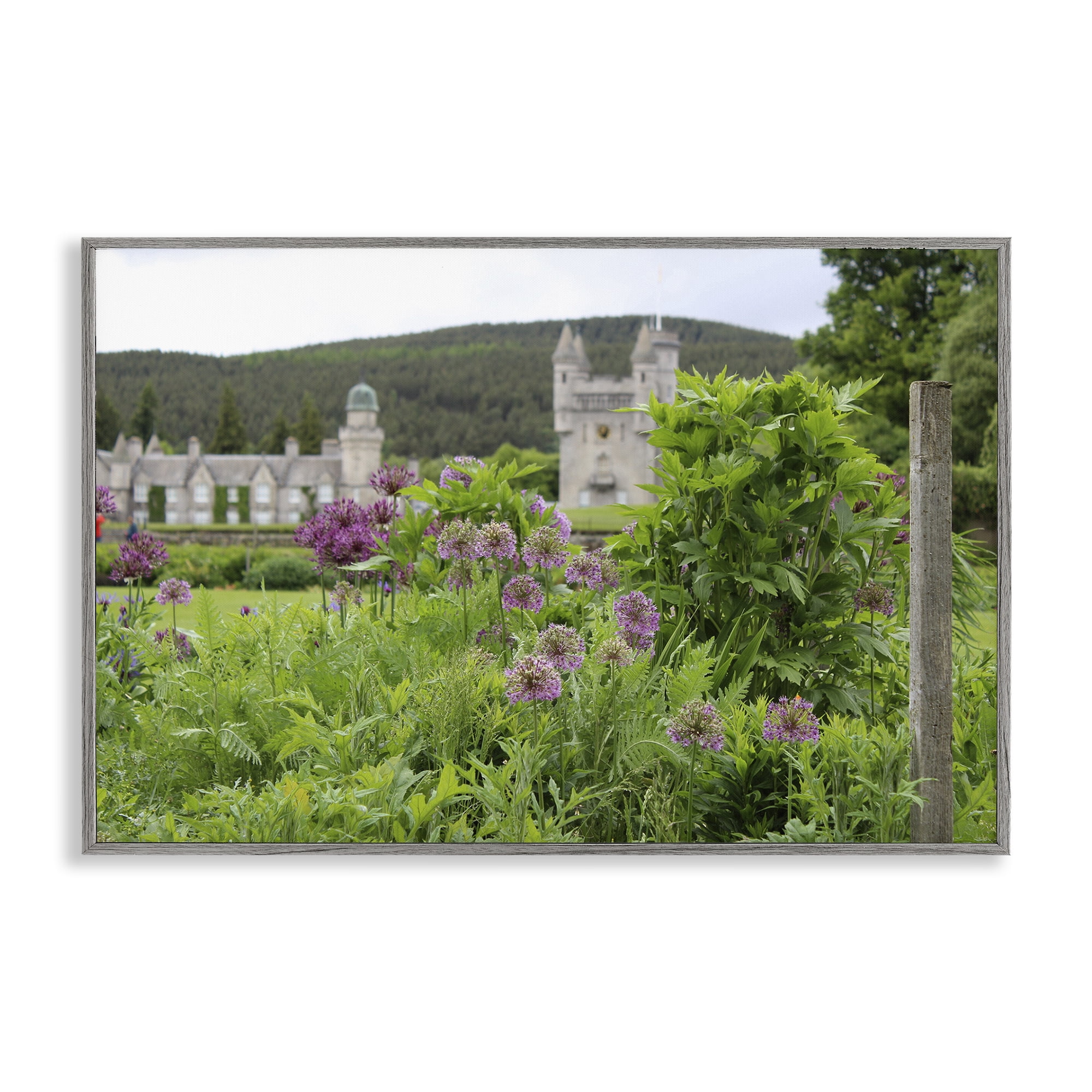 Stupell Industries Distant Castle View Landscape & Nature Photography Gray Framed Art Print Wall Art, 30 x 20