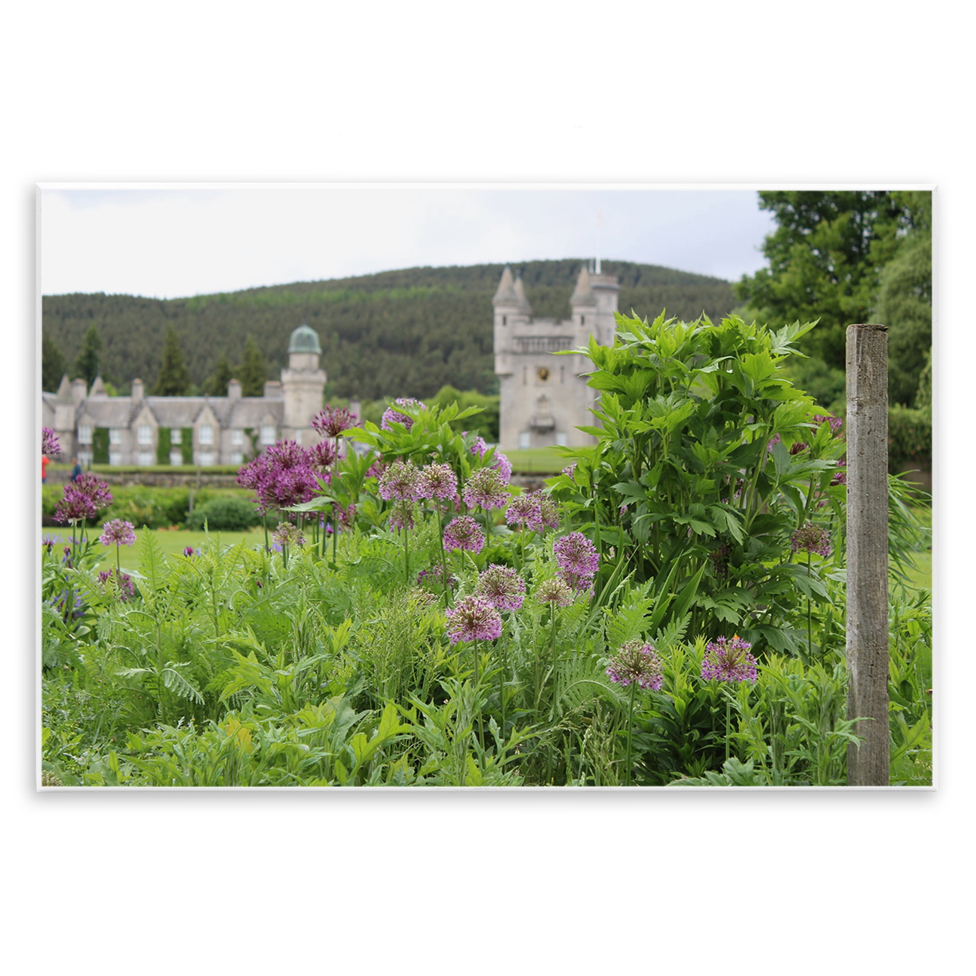 Stupell Industries Distant Castle View Landscape & Nature Photography Unframed Art Print Wall Art, 19 x 13