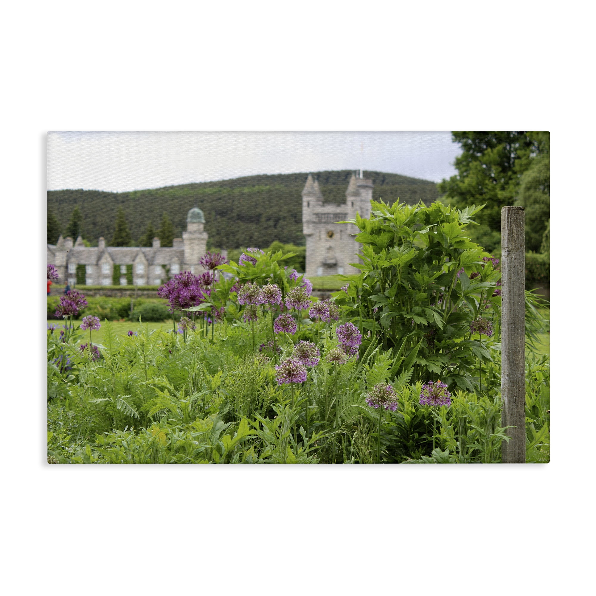 Stupell Industries Distant Castle View Landscape & Nature Photography Wrapped Canvas Art Print Wall Art, 45 x 30