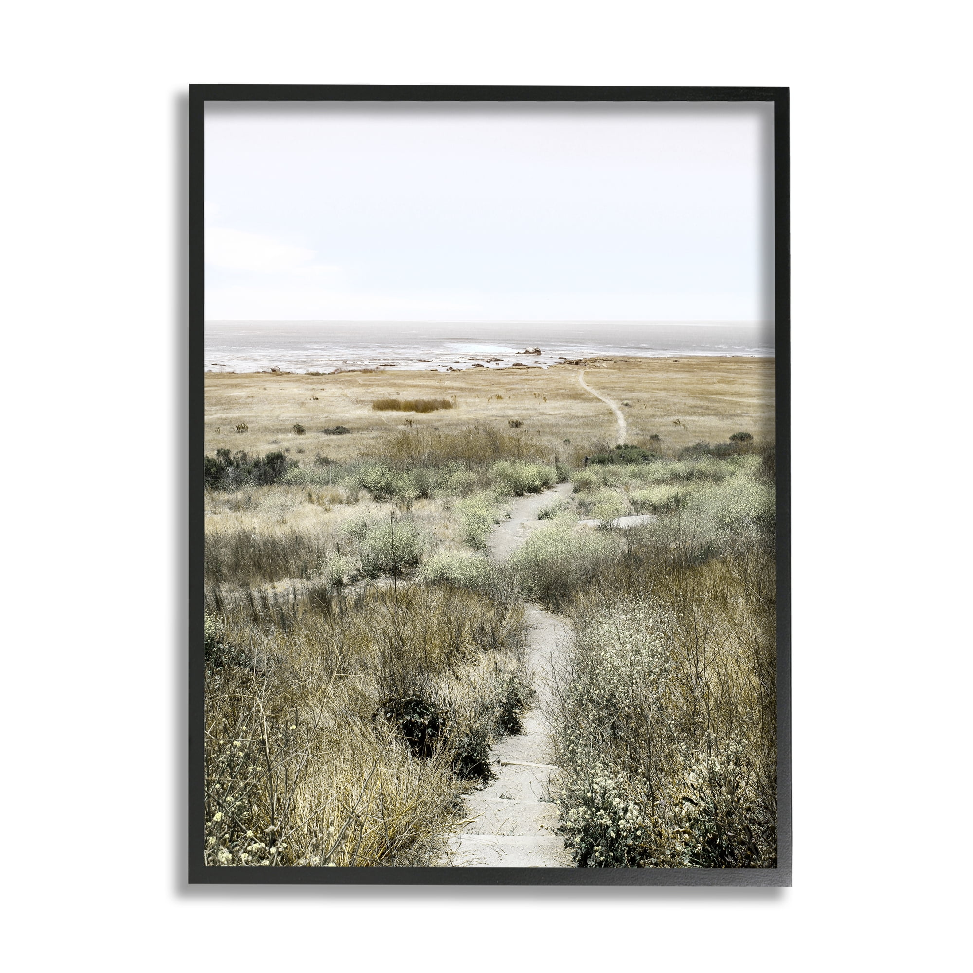 Stupell Industries Distant Shoreline Grassy Beach Path Cloudy Horizon, 11 x 14, Design by Danita Delimont