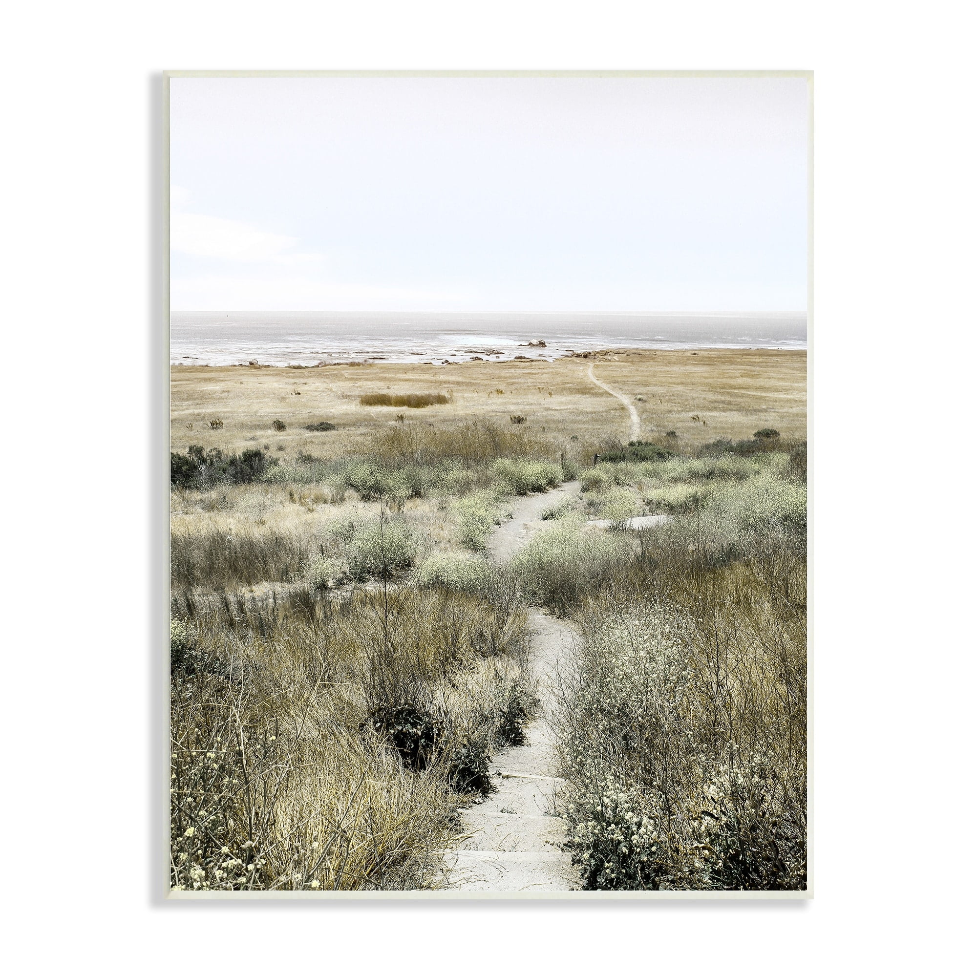 Stupell Industries Distant Shoreline Grassy Beach Path Cloudy Horizon, 13 x 19, Design by Danita Delimont