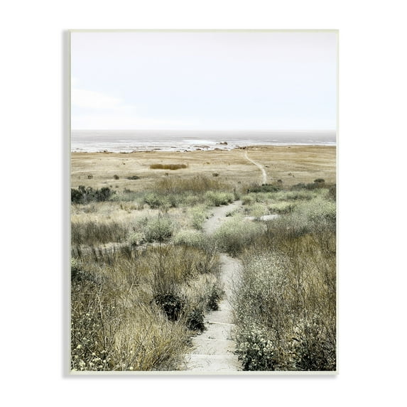 Stupell Industries Distant Shoreline Grassy Beach Path Cloudy Horizon, 13 x 19, Design by Danita Delimont